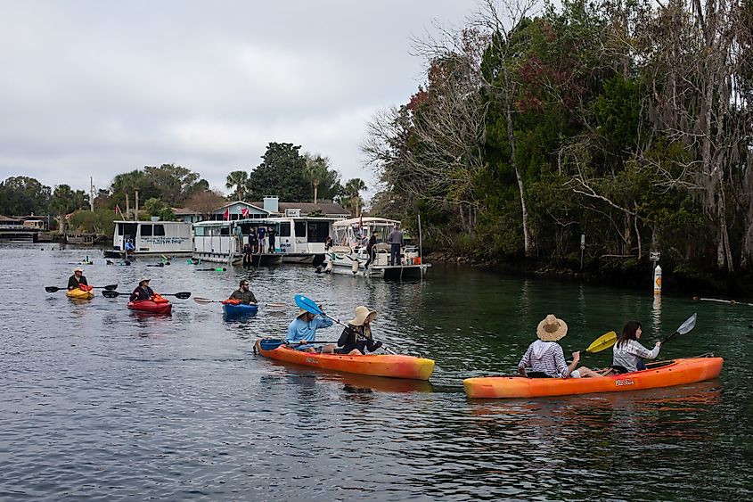 Tourists from around the world travel to Three Sisters Springs in Crystal River, Florida.
