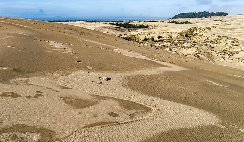 Windswept patterns in the sand dunes near Lakeside in Oregon, USA
