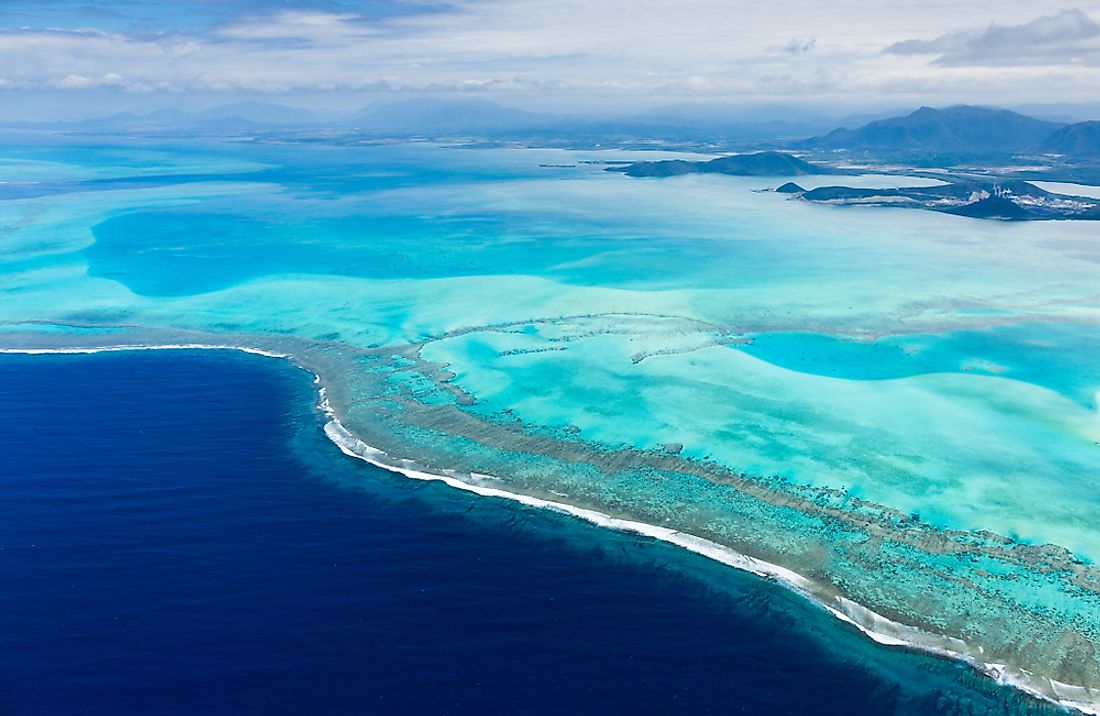 New Caledonia is one of the most important biodiverse hot spots in the region. 