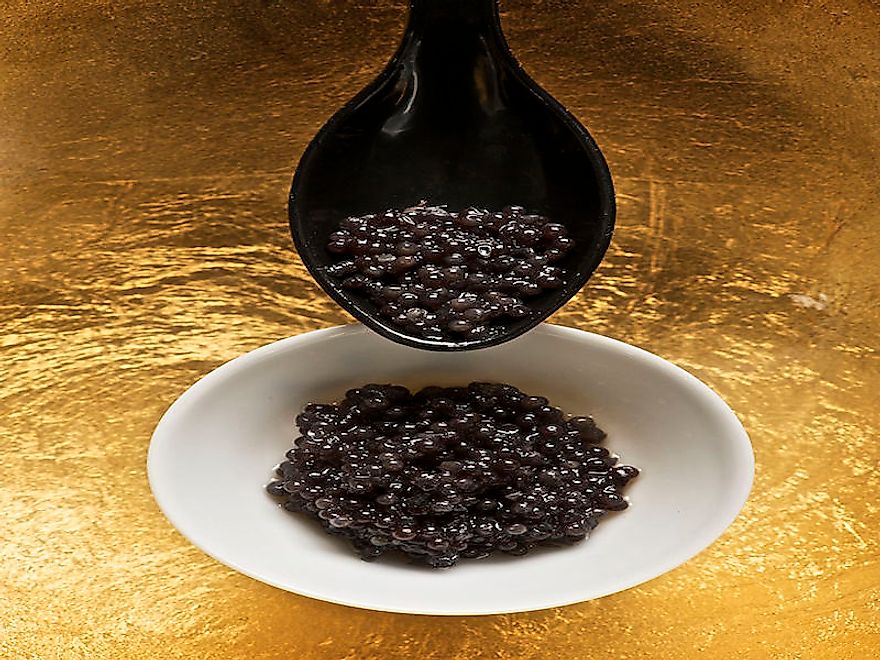 Beluga caviar, a delicacy made from salt-cured eggs of the Beluga sturgeon.