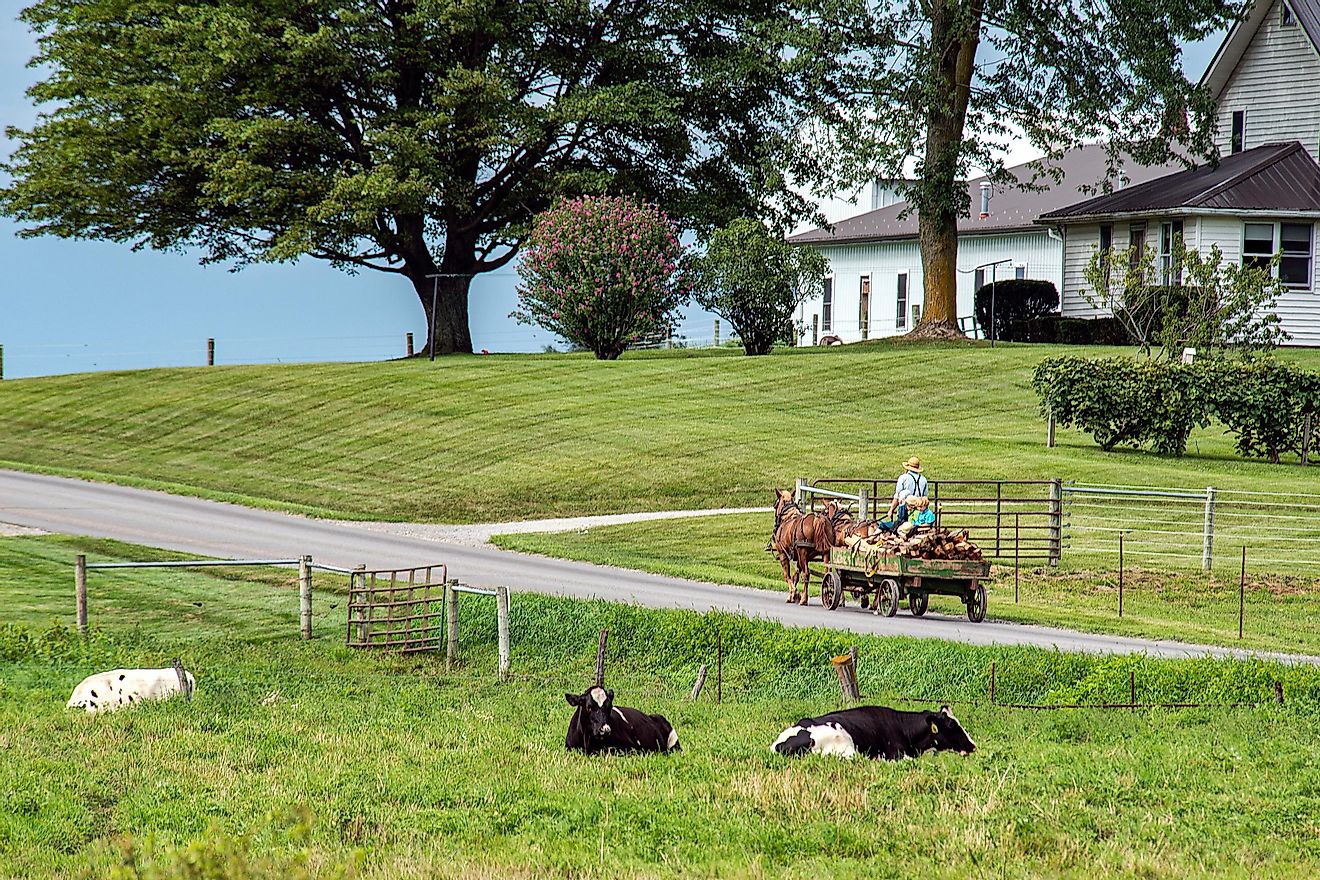 Amish buggies in Shipshewana, Indiana