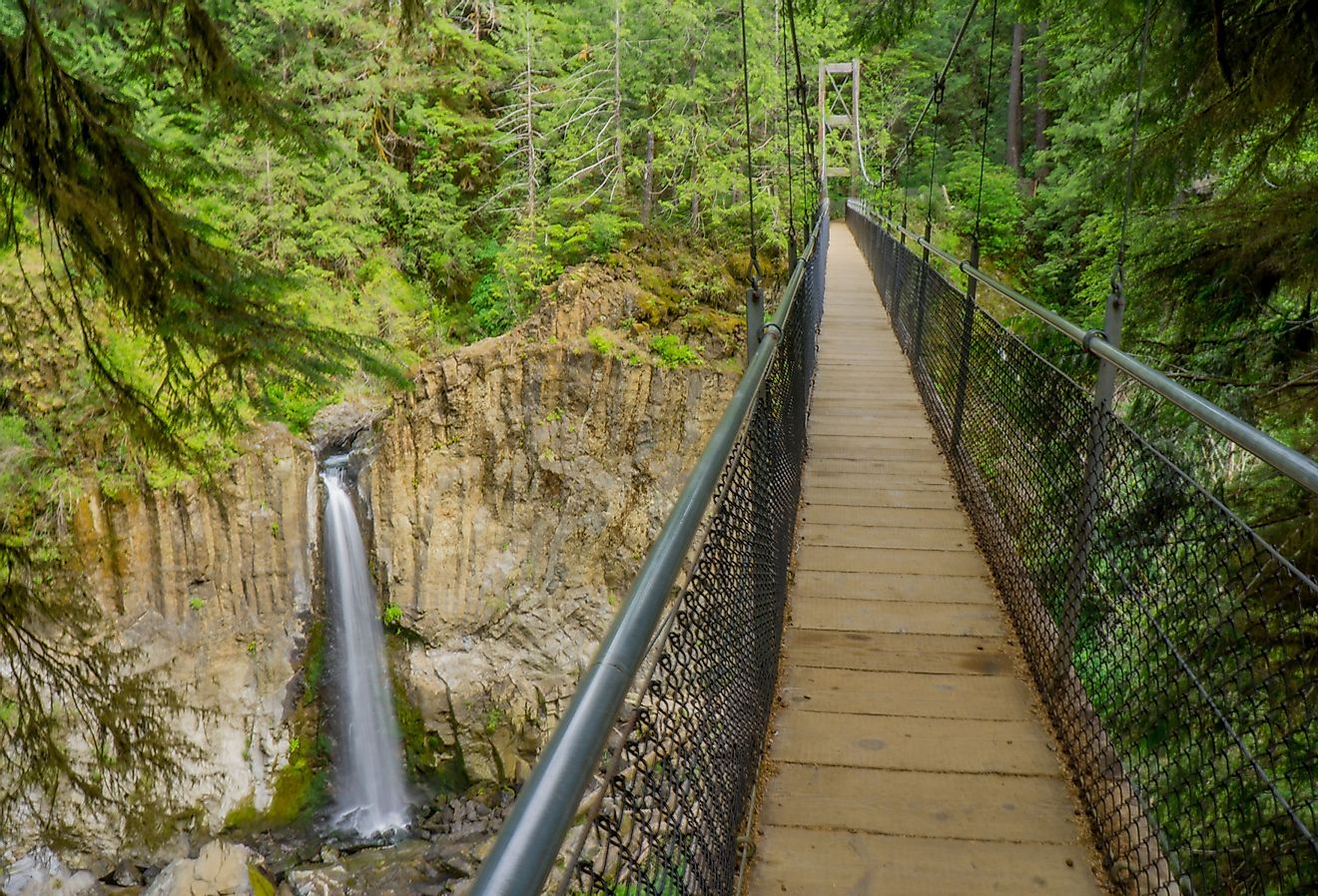 Drift creek fall trail in Siuslaw National Forest, Oregon
