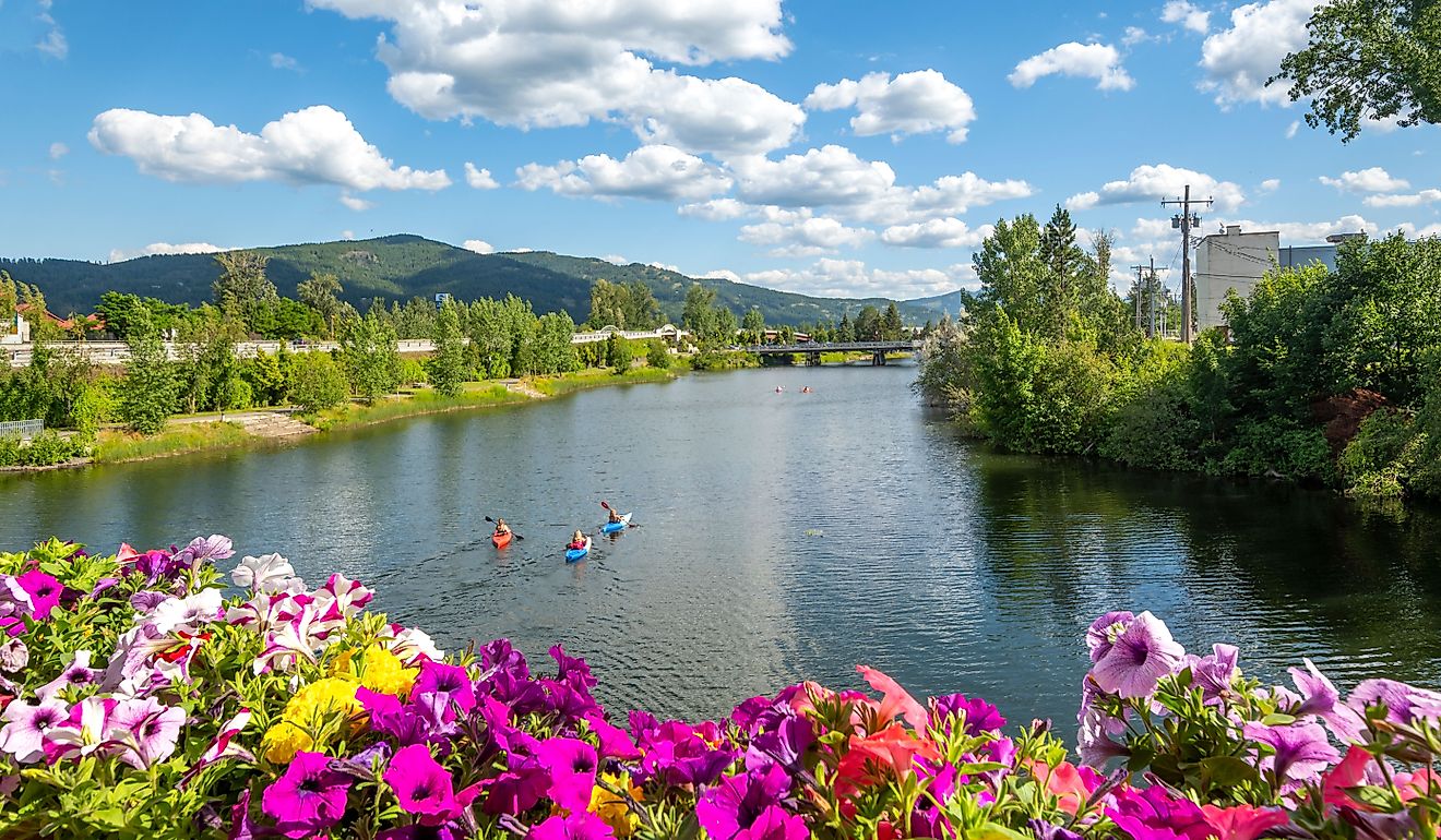 A group of kayakers enjoy a beautiful summer day on Sand Creek River and Lake Pend Oreille in the downtown area of Sandpoint, Idaho, USA.