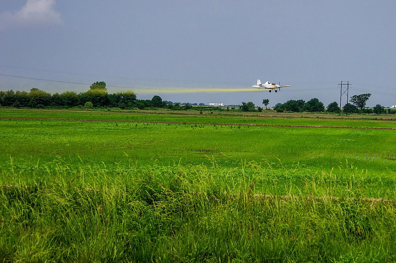 A crop duster flies over a rice field in Arkansas. Editorial credit: Philip Rozenski / Shutterstock.com