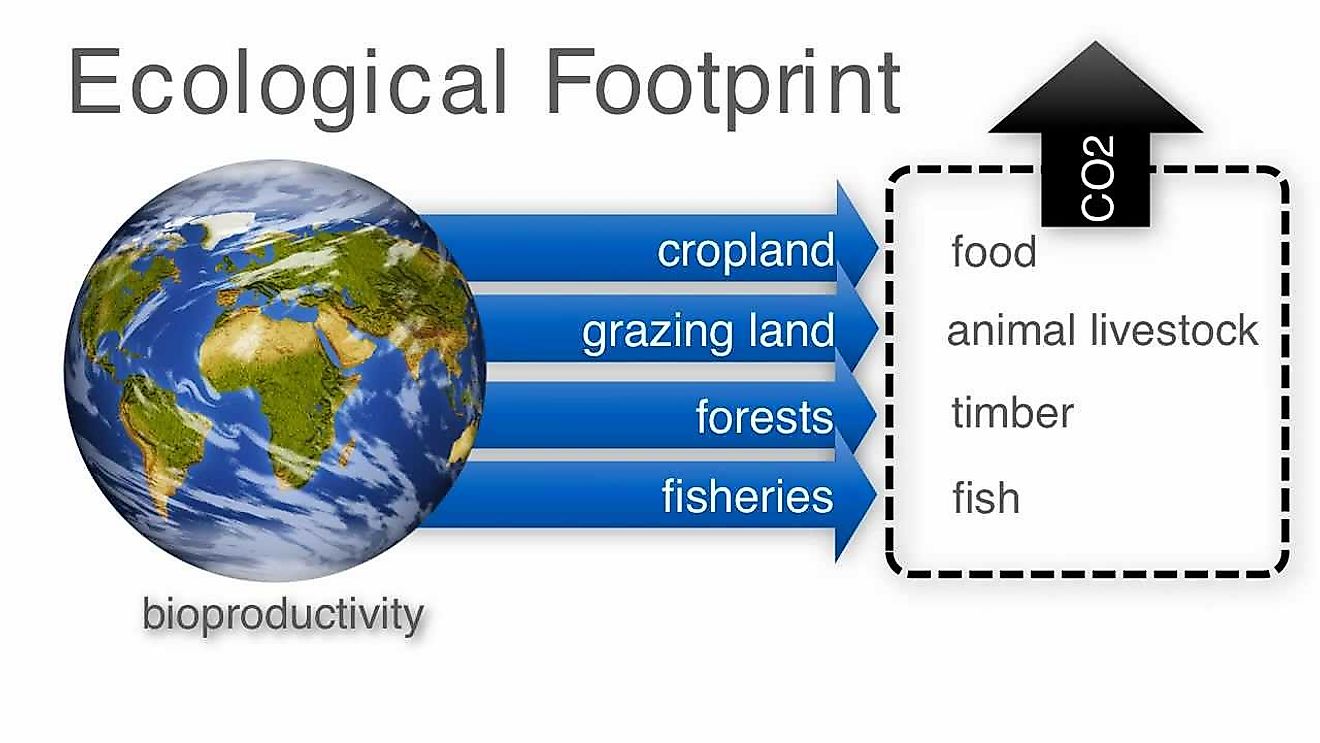 Ecological Footprint Is The Impact Of An Individual/Community On The Environment Measured As Land Required To Sustain Their Usage Of Natural Resources.