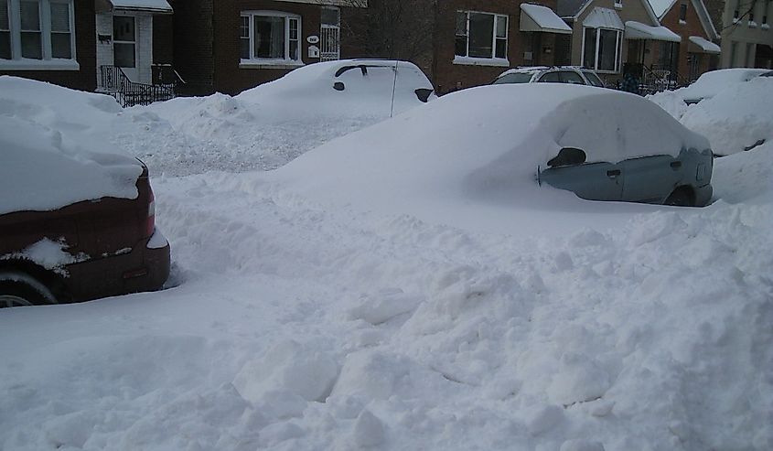 Cars buried on Chicago's South Side in the Bridgeport neighborhood, Feb 2, 2011.