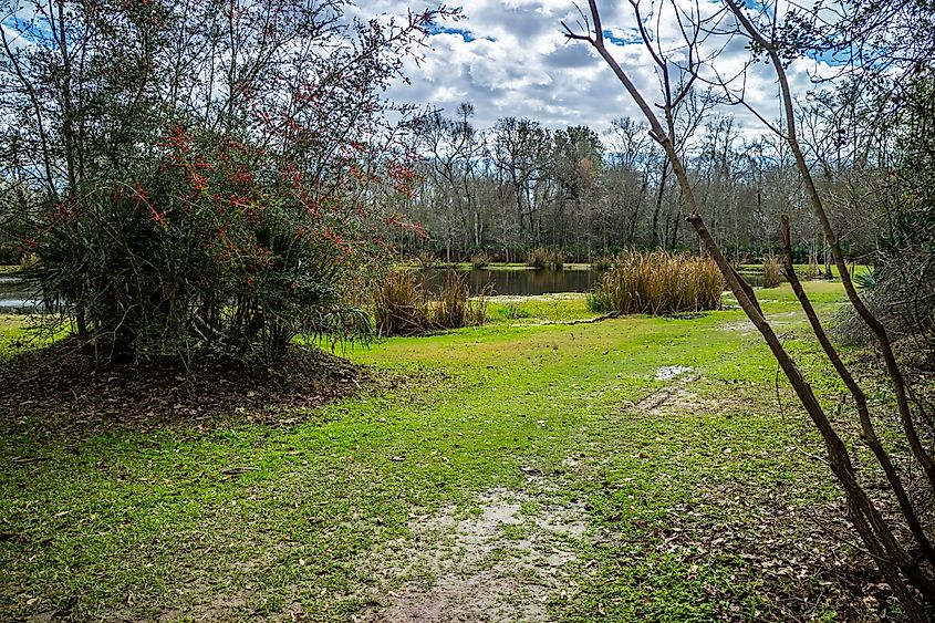 The Evangeline Pond in St. Martinville, Louisiana.