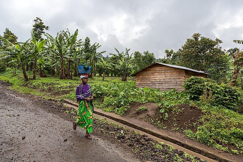 Local woman walking in a dirty road inside the Virunga National Park in DRC, Central Africa.