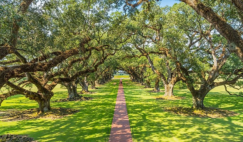 Oak Alley Plantation, Saint James Parish, Louisiana. 